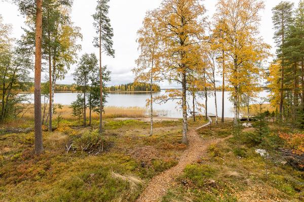 -sisältä