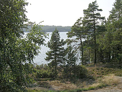 -sisältä